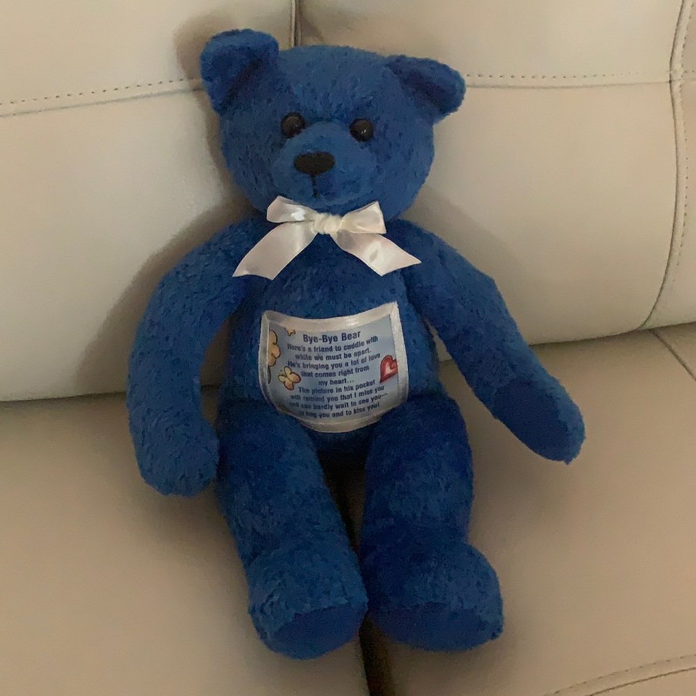Bye-Bye Bear NWOT